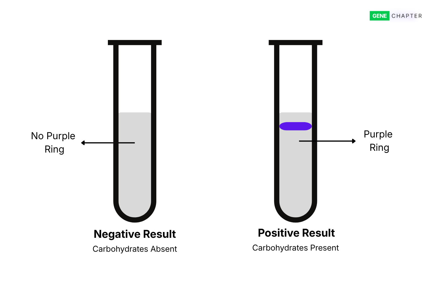Molisch Test: Principle, Procedure, Result, Interpretation and Uses
