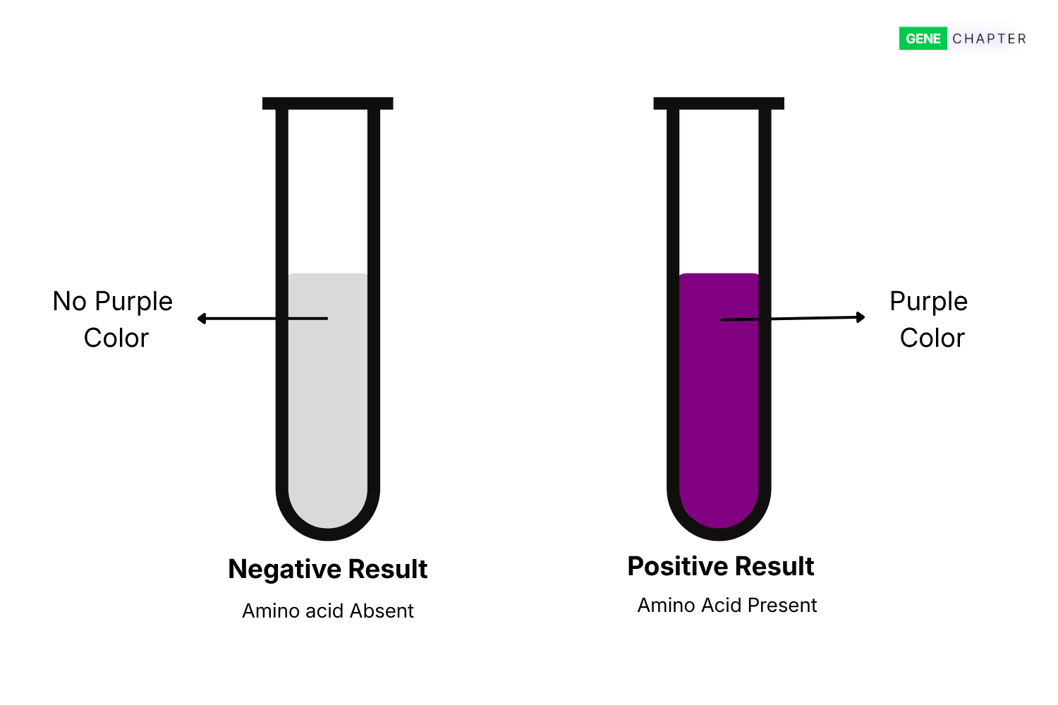 Ninhydrin Test: Principle, Procedure, Result, Interpretation and Uses