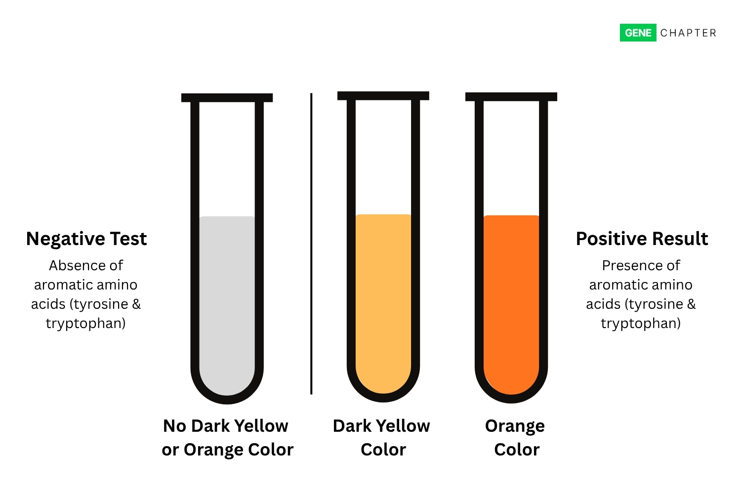 Xanthoproteic Test: Principle, Procedure, Result, Uses