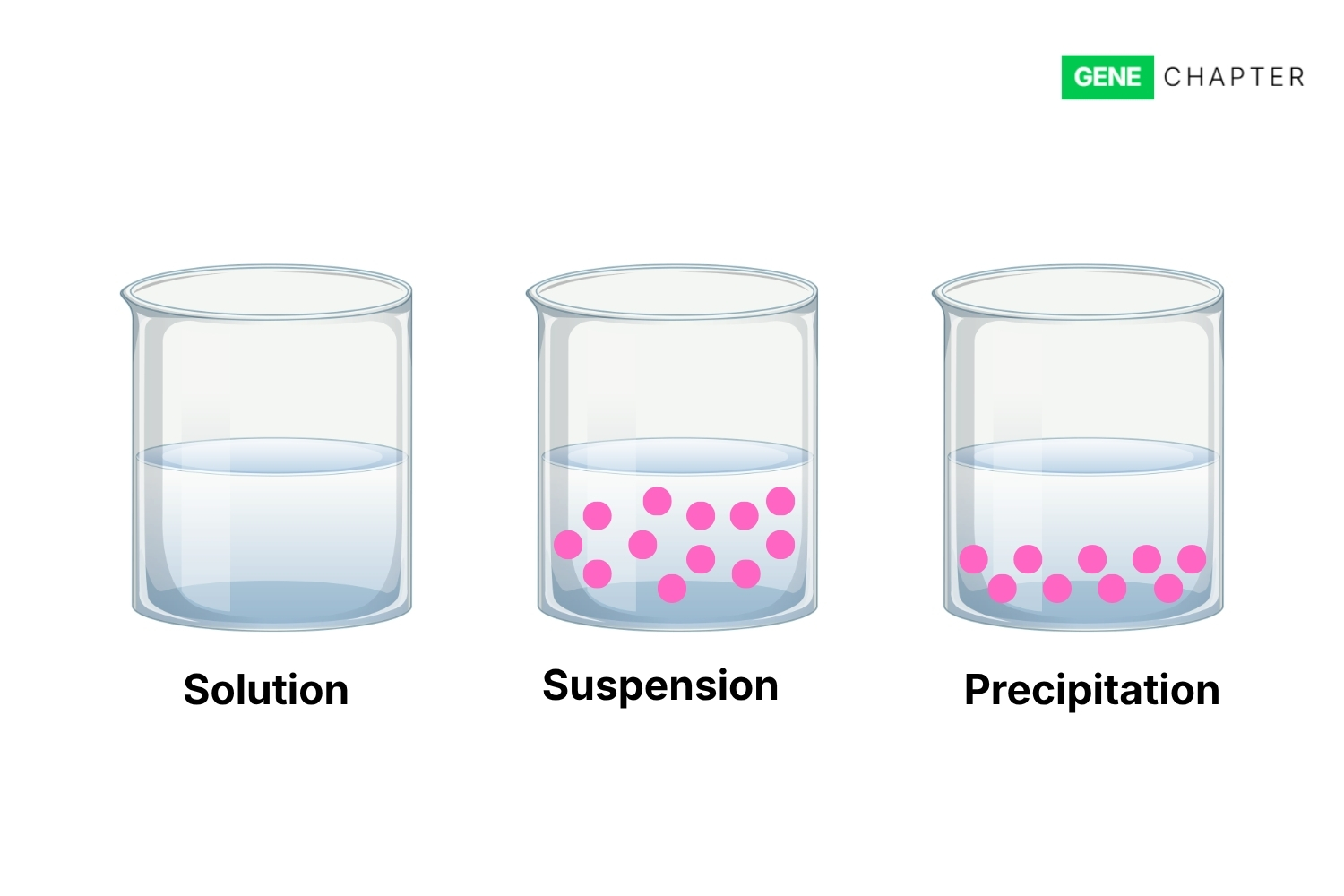 Suspension: Definition, Properties and Examples